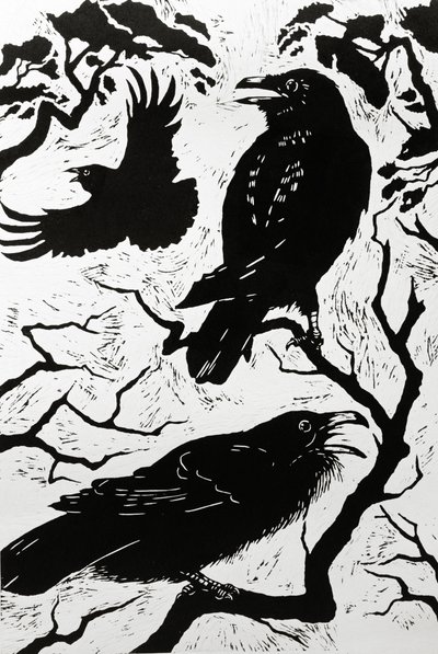 Ravens, 1998 by Nat Morley